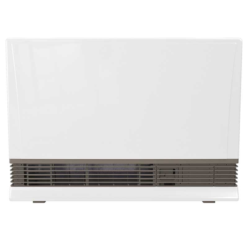 rinnai 1005fdt